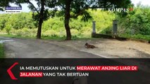 Kisah Dewi, Selamatkan Anjing Tak Bertuan di Bali