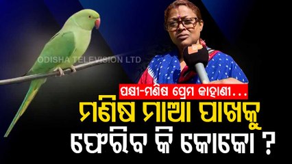 Special Story | Will Coco Return To His Pet Parent | A Different Love Story Of Bird & Human