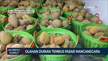 Pemuda di Deli Serdang Berhasil Eksppor Durian