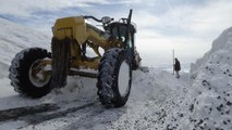 Muş'ta kar nedeniyle 266 köy yolu ulaşıma kapandı