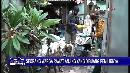 Rawat dan Berikan Vaksin, Dewi Wulansari Jadi Pahlawan bagi Anabul Terlantar di Denpasar Bali