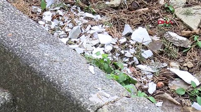 Azra Erhat'ın mezarına ikinci saldırı: Lahit kapağı yerinden söküldü, seramik ve mermerler paramparça edildi