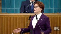 Akşener'den çiftçilere destek çağrısı