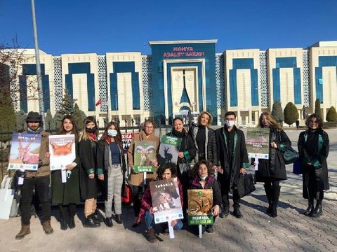 Son dakika haberleri: KONYA'DAKİ MAHKEME KARARI VERDİ YABAN KOYUNU VE YABAN KEÇİSİ AV İHALESİ İPTAL
