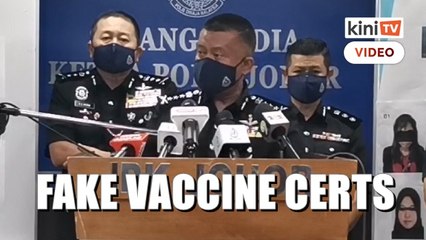 RM350 to RM650 for fake vaccine certs: Johor police arrest 8