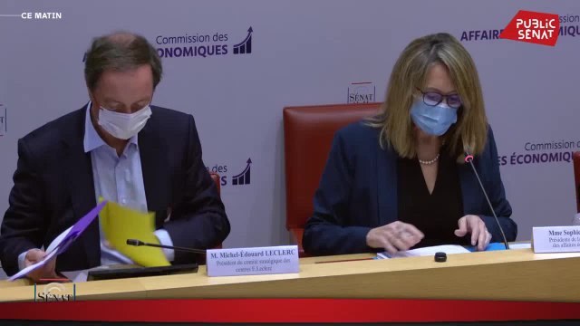 Pouvoir d'achat : Michel-Edouard Leclerc auditionné - Les matins du Sénat (19/01/2022)