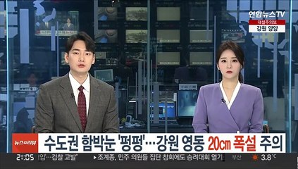 수도권 함박눈 '펑펑'…강원 영동 20㎝ 폭설 주의