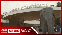 Manila Zoo opens as vaccination site