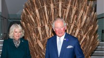VOICI : Prince Charles et Camilla : leur supposé fils caché dévoile une preuve troublante et symbolique