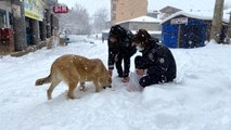 Son dakika haberleri... Jandarma ve polisten yüreklere dokunan hareket: Yoğun kar altında sokak hayvanlarını beslediler