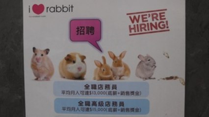 Hong Kong registra al menos un contagio de covid por hámsters importados de Europa