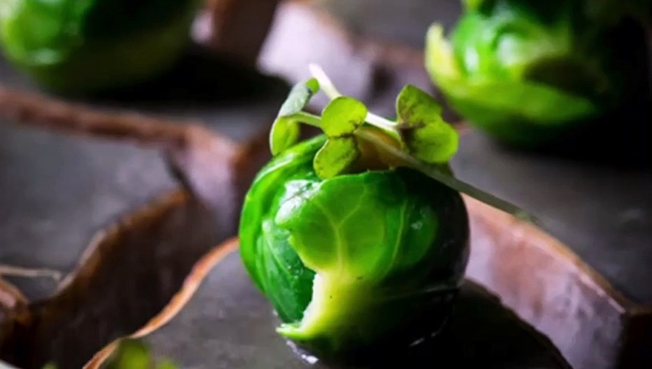 Gastronomy TOP CHEF event between Belgium and China !  (4)  desserts  !