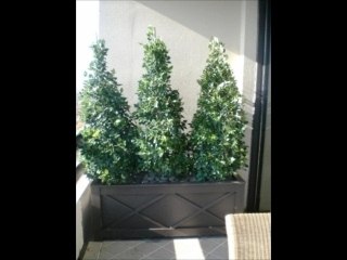 Outdoor Planters - Making Lush Out of Nothing At All