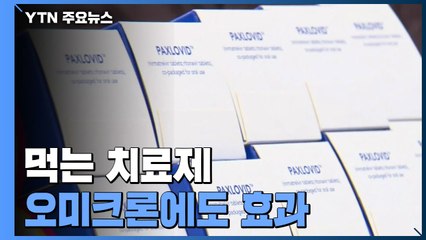 먹는 치료제 오미크론에도 같은 효과..."처방 활성화 위해 기준·절차 개선" / YTN