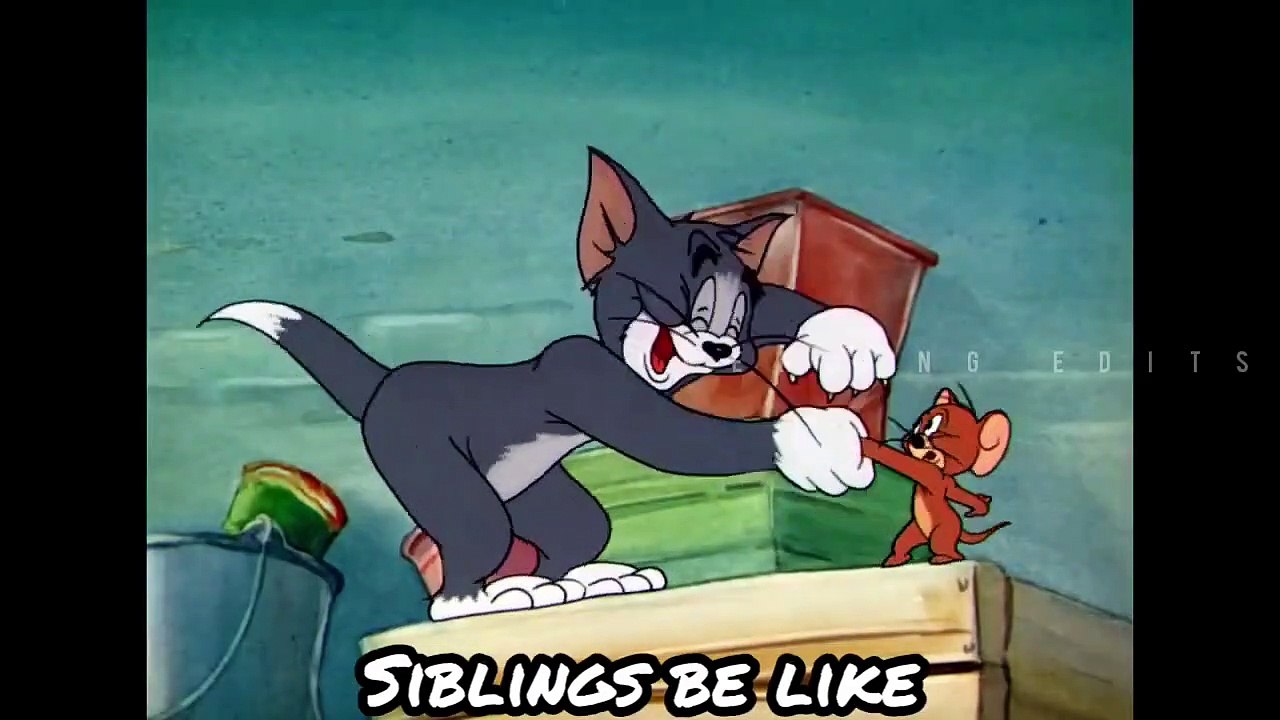 Elder Brother Vs Young Brother In Home Meme
