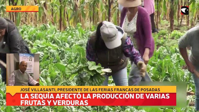 La sequía afectó la producción de varias frutas y verduras