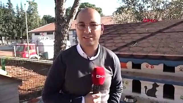 Robot NAO 'gel pisi pisi' diyerek kedileri besliyor