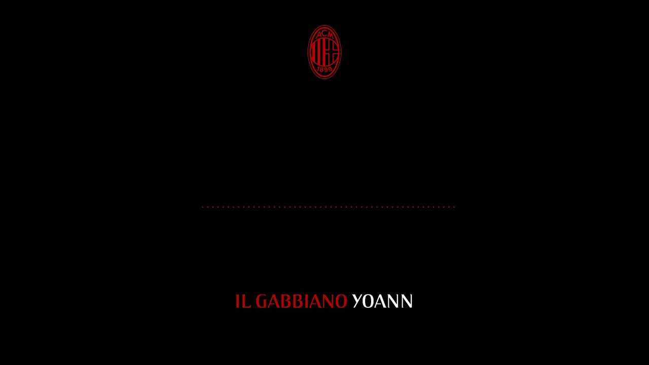 Il gabbiano Yoann