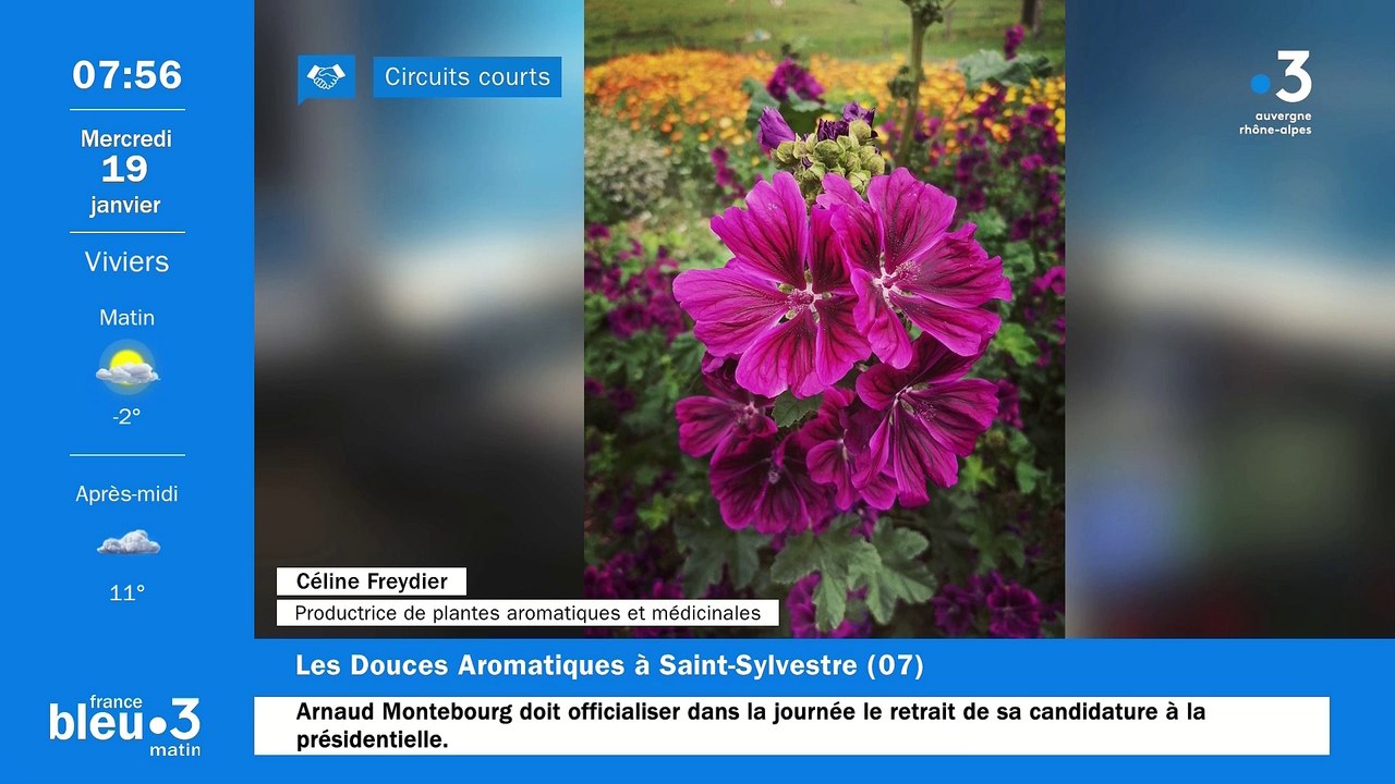 A Saint-Sylvestre, "Les douces aromatiques", des plantes aromatiques et médicinales certifiées BIO