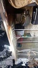 Moradora de Cruzeiro do Oeste tem casa incendiada e faz vaquinha para recuperar imóvel