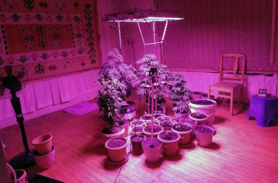 Evini uyuşturucu imalathanesine çevirmiş