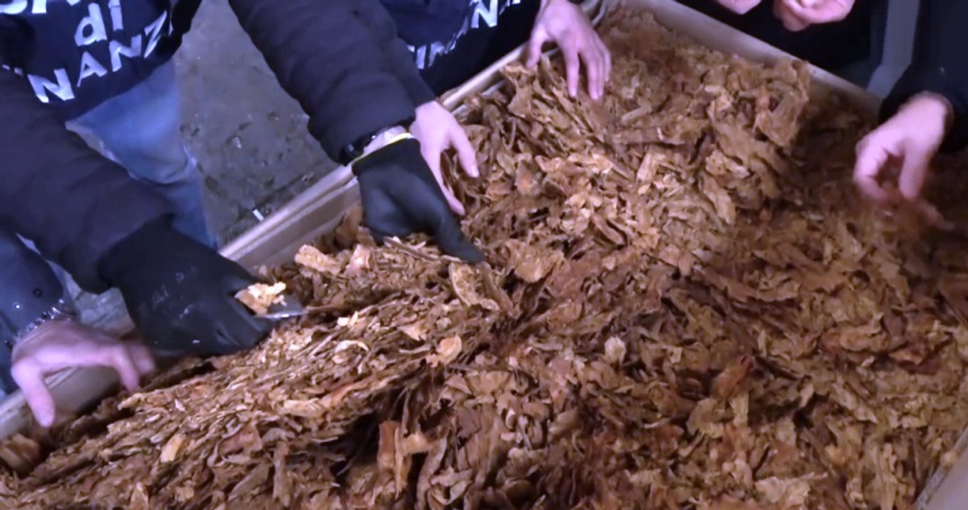 Trieste - Sequestrate 30 tonnellate di tabacco di contrabbando  (19.01.22)