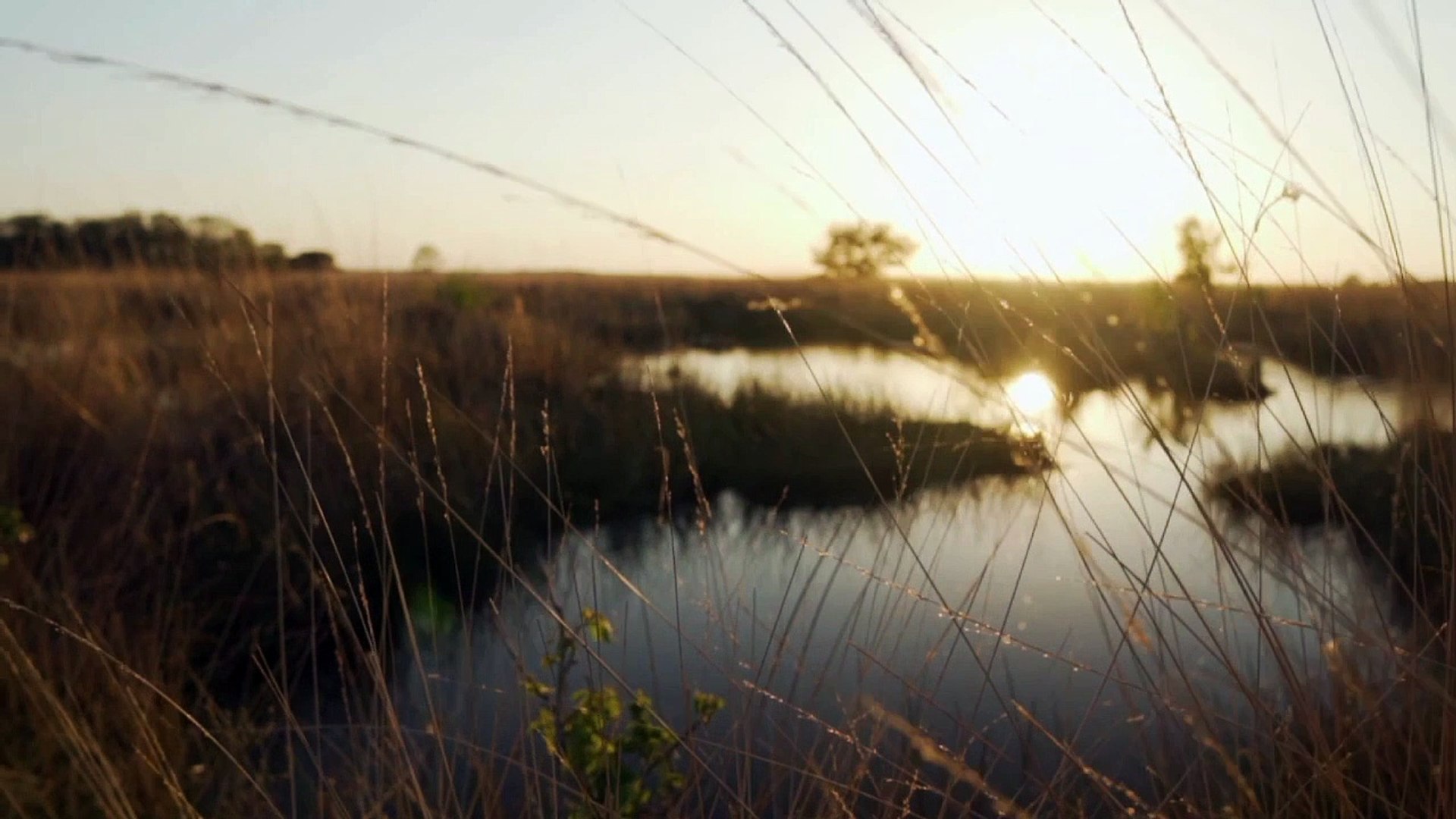 ⁣Relaxing Music 24_7, Meditation Music, Sleep Music, Yoga,Study Spa,Sleeping Music,