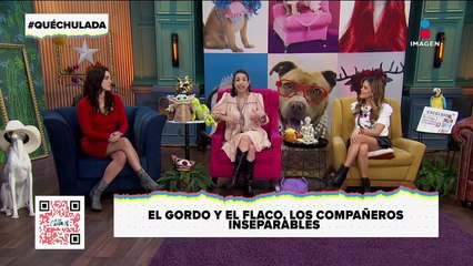 ¡El mejor compañero de viaje de Vero Toussaint es su exesposo!