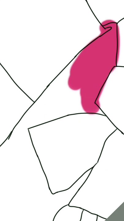 draw s1 bundle
