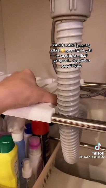 تنظيم وترتيب