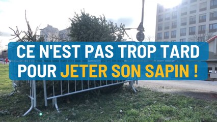 Collecte de sapins Troyes