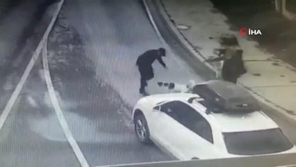 Bakırköy'de dehşet anları kamerada...İş adamına 6 köpek saldırdı