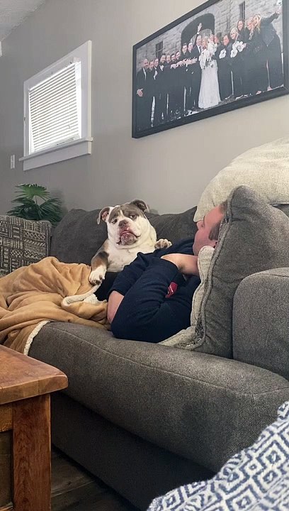 Braxton the Bulldog is very Expressive