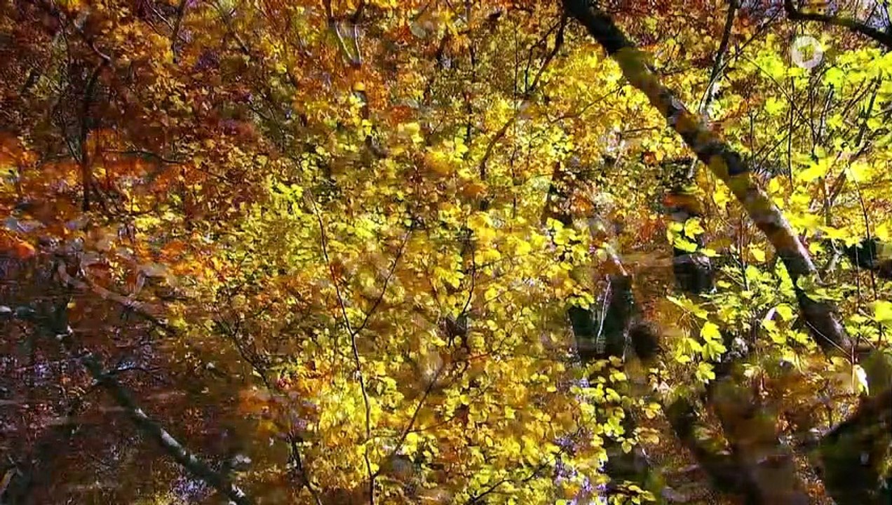 Sturm der Liebe 3759 folge