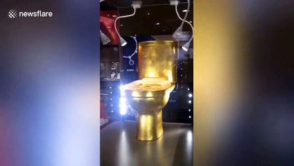 Ces toilettes en or valent 1 million d'euros