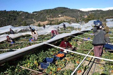 Antalya'da seraları bu defa poyraz fırtınası vurdu