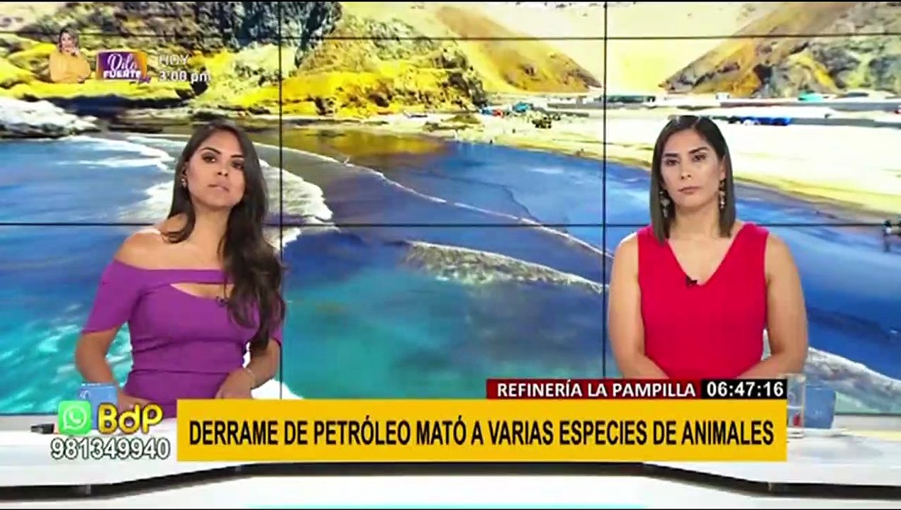 Refinería La Pampilla: derrame de petróleo en Ventanilla llega hasta playas de Ancón y Santa Rosa