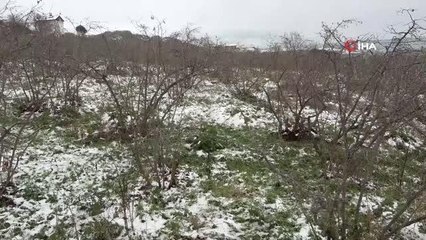 Soydan: "Bölgedeki kar yağışı fındık açısından oldukça faydalı"