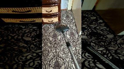 Adorable Daughter Holds Cat While Parent Vacuums