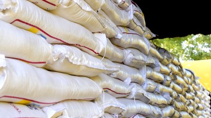 León: más de 50 mil niños y niñas gozaran de la merienda escolar