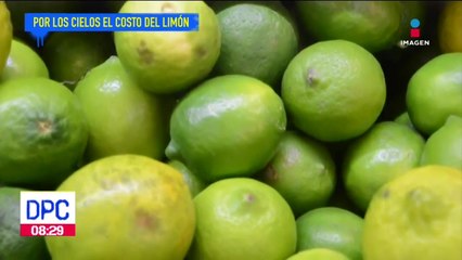 ¿Cuál es el precio del limón?