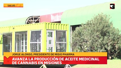 Avanza la producción de aceite medicinal de cannabis en misiones