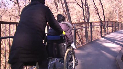 "산에 오를 자유를 얻었어요"...전국 최장 무장애길 조성 / YTN
