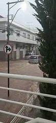 Temporal arranca árvores, derruba telhados e dá prejuízo em Divinópolis (2)