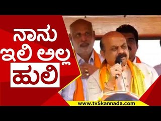 ಅವರಿಗೆ ಗೊತ್ತಿಲ್ಲ ನಾನು ಇಲಿ ಅಲ್ಲ ಹುಲಿ ಅಂತ..! | basavaraj bommai | by election| hanagal | sindhagi