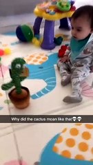 Talking Cactus Makes Interesting Sounds