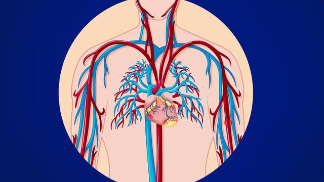 Trombosis venosa profunda: ¿Cómo identificarla? | Salud180