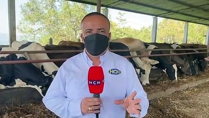 HCH visita finca donde nació vaca con deformidades