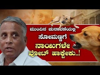 ಸೋಮಣ್ಣಗೆ ಮುಂದಿನ ಚುನಾವಣೆಯಲ್ಲಿ ನಾಯಿಗಳೇ ವೋಟ್ ಹಾಕ್ಬೇಕು..! | V SOMANNA | BBMP | Tv5 Kannada