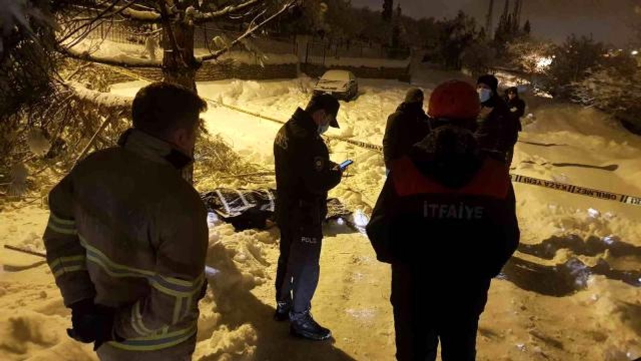 Yaşlı adam ağacın altında ölü bulundu